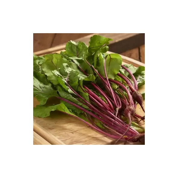 Beets, Bull'S Blood - 1/2lb