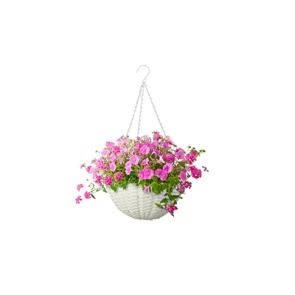 Panacea 14" Resin Woven Hanging Basket White
