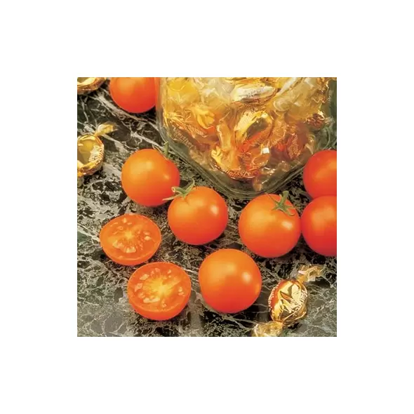 Tomato, Sunsugar - 500 Seed Count