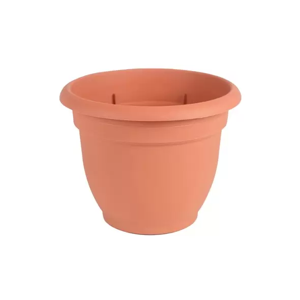 Bloem 6" Ariana with Grid Planter Terra Cotta