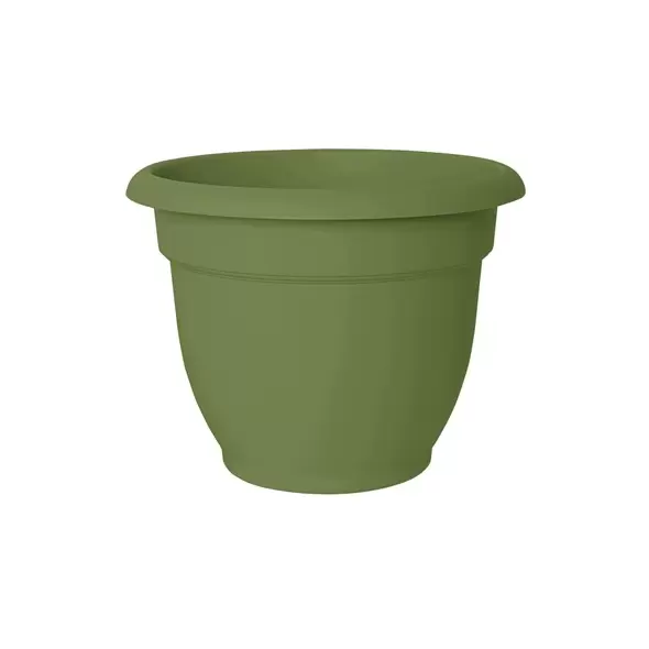 Bloem 6" Ariana with Grid Planter Living Green