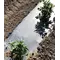 Filmorganic Black 36 Biodegradable Film 48"x5000'