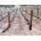 Split Cedar Posts - 4''-5'' By 8''