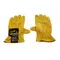 Leather Gloves - Large