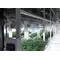 Cannabis Vertical Growing Systems for Vegetation and Flowering Rooms