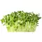 Formulated Plant Food
