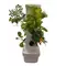 Tabletop Garden Tower
