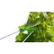 2" Biodegradable Green Clips - 1000 Pcs Per Bag