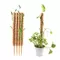Coco Grow Poles
