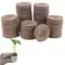 Coco Seed Starter Discs