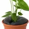 TD10 Twin Pack (For containers-10 Inches)