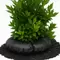 TD20 - For Plants In 20 Inches Containers Or In Ground Plants Of 10 Inces Rootball)