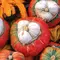 Squash, Turks Turban - 1/2lb