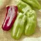 Peppers, Giant Marconi Treated - 500 Seed Count