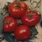 Tomato, Brandywine Red Potato Leaf - 10,000 Seed Count