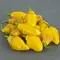 Peppers, Habanero Yellow - 5,000 Seed Count