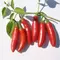 Peppers, Serrano Tampiqueno - 1,000 Seed Count