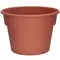 DLN 12.00 COLOR POT 1 CL 28/CS 48CS/PL