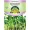 Microgreens, Black Oil Sunflower - 2 Gram