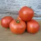 Tomato, Early Girl - 1,000 Seed Count