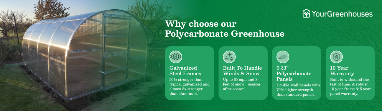 v4-Your%20Green%20House%20-%20Article%20Banner-%201296x379-9-7%201.jpg?1756487470875