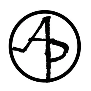 Access Pro Gate Company logo