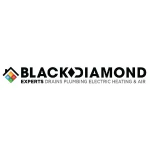 Black Diamond Experts logo