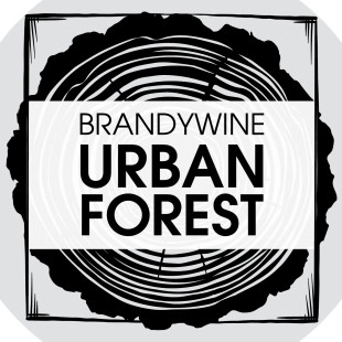 Brandywine Urban Forest logo