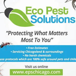 Eco Pest Solutions - Pest Control Services in Streamwood, IL