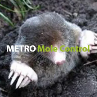 Metro Mole Control logo