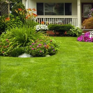 Pro Cut Lawns & Landscaping logo