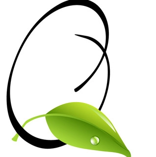 Quadscapes Landscaping Services LLC logo