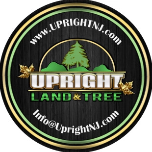 Upright Land & Tree logo