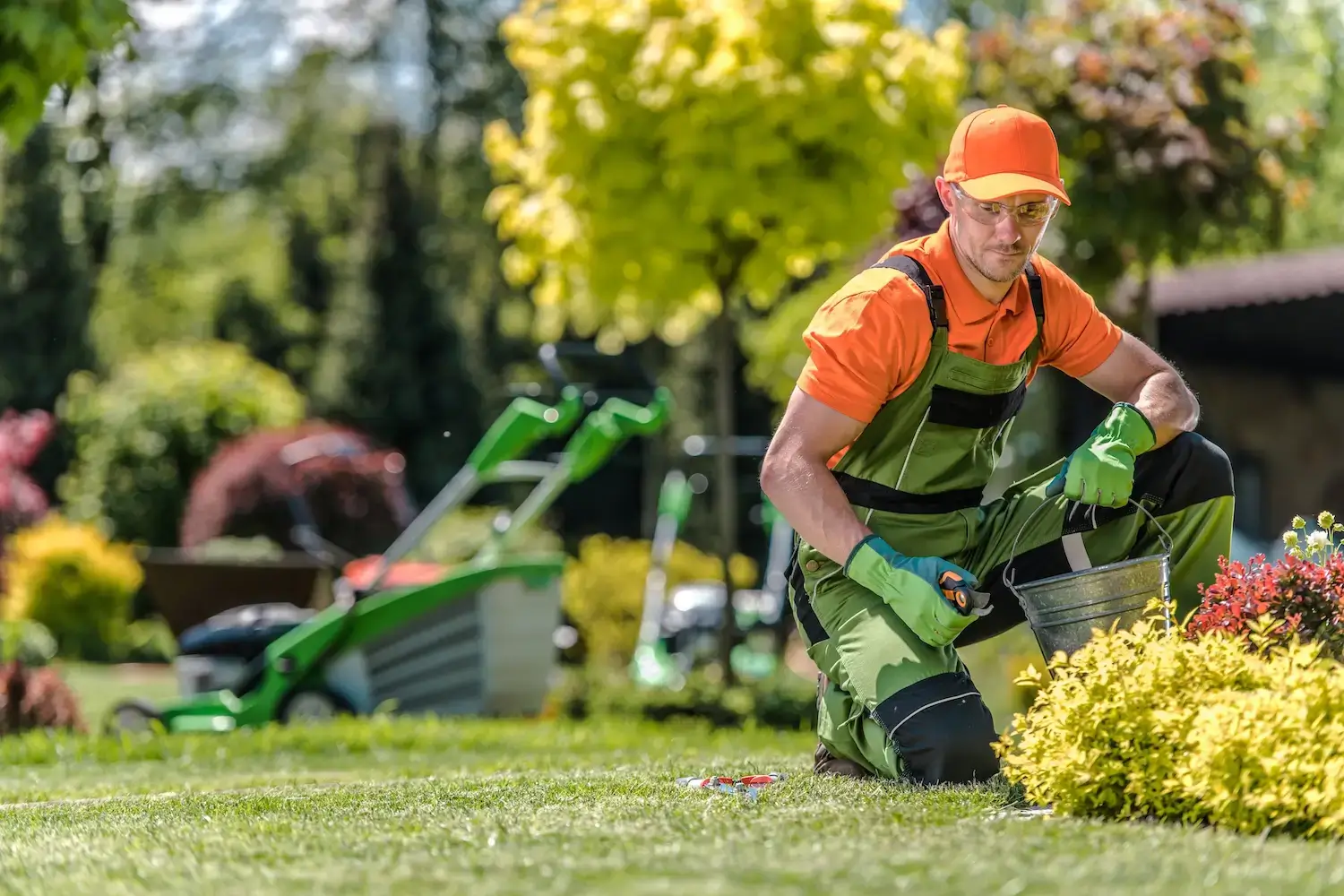 Landscape Repair
