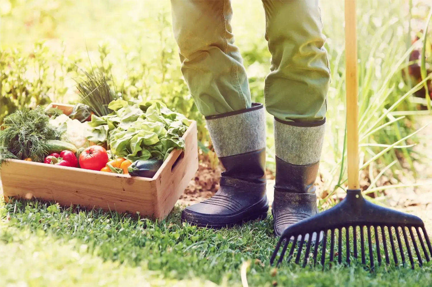 Seasonal Yard Cleaning