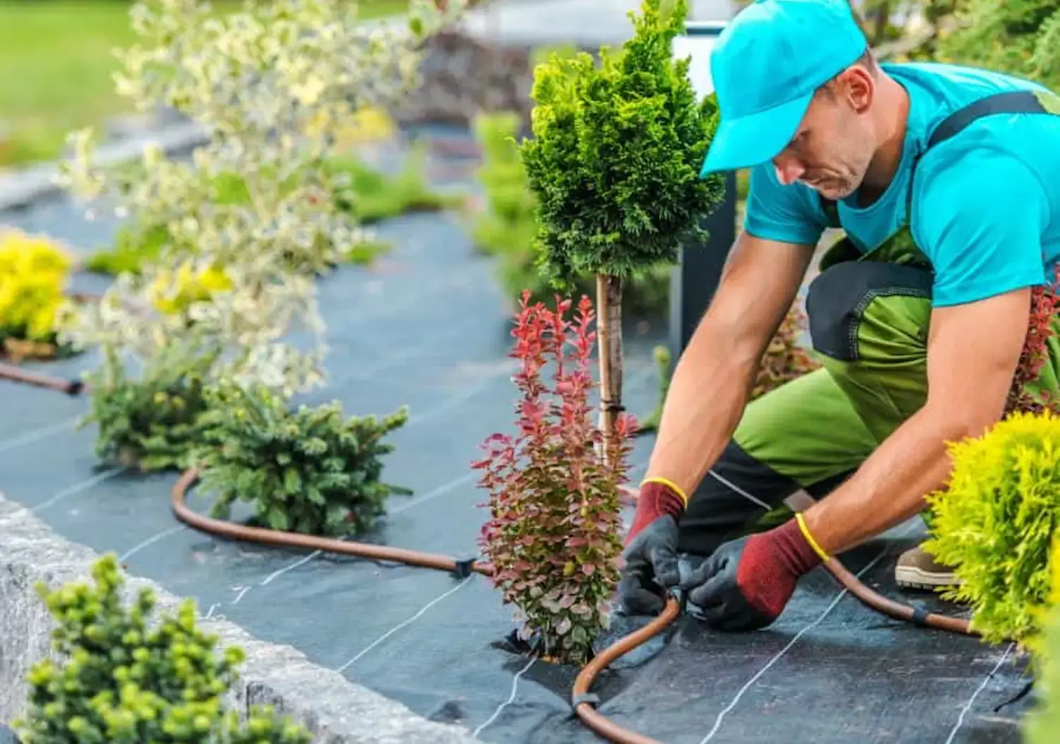 Irrigation System Repair