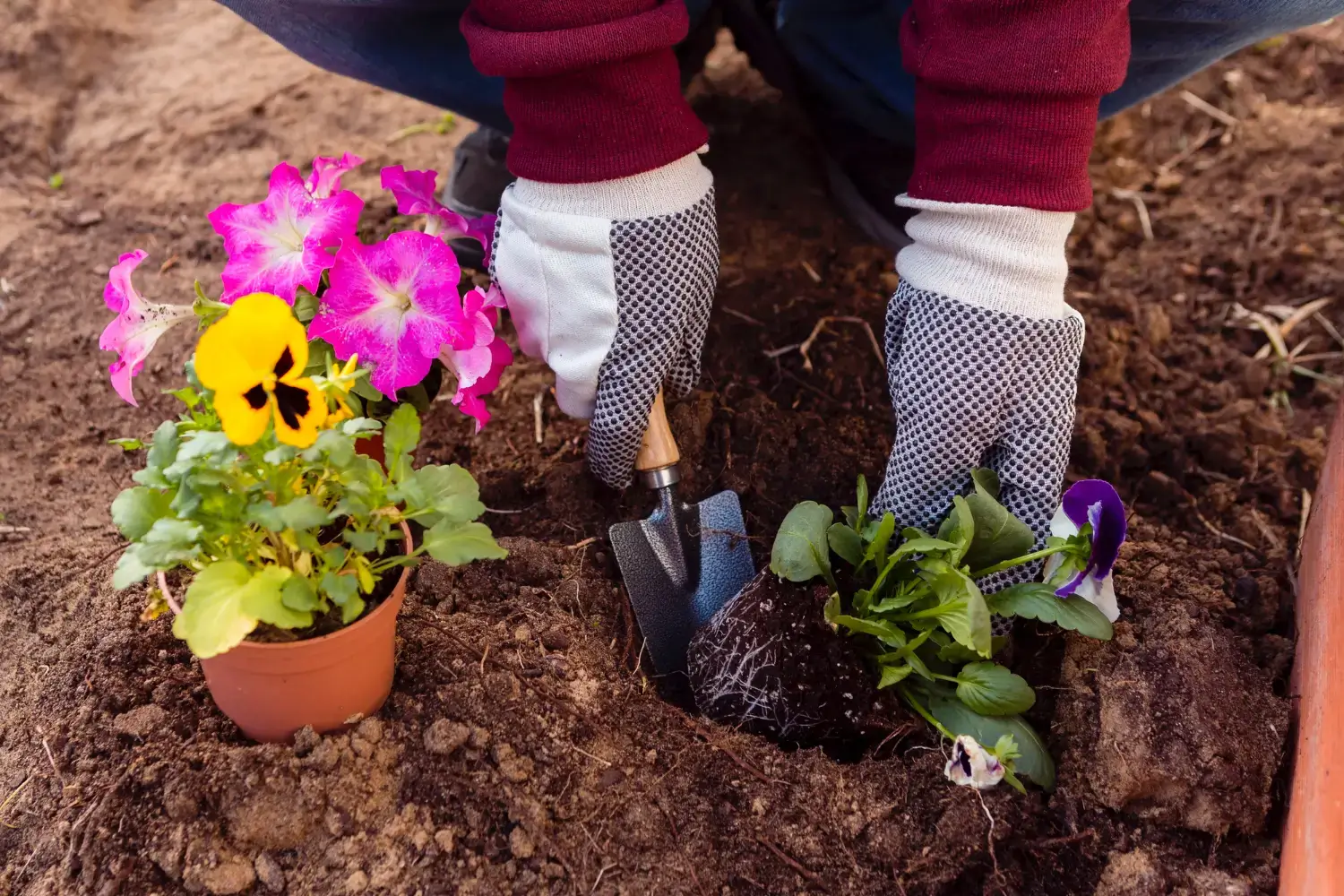 Tree Planting & Transplanting