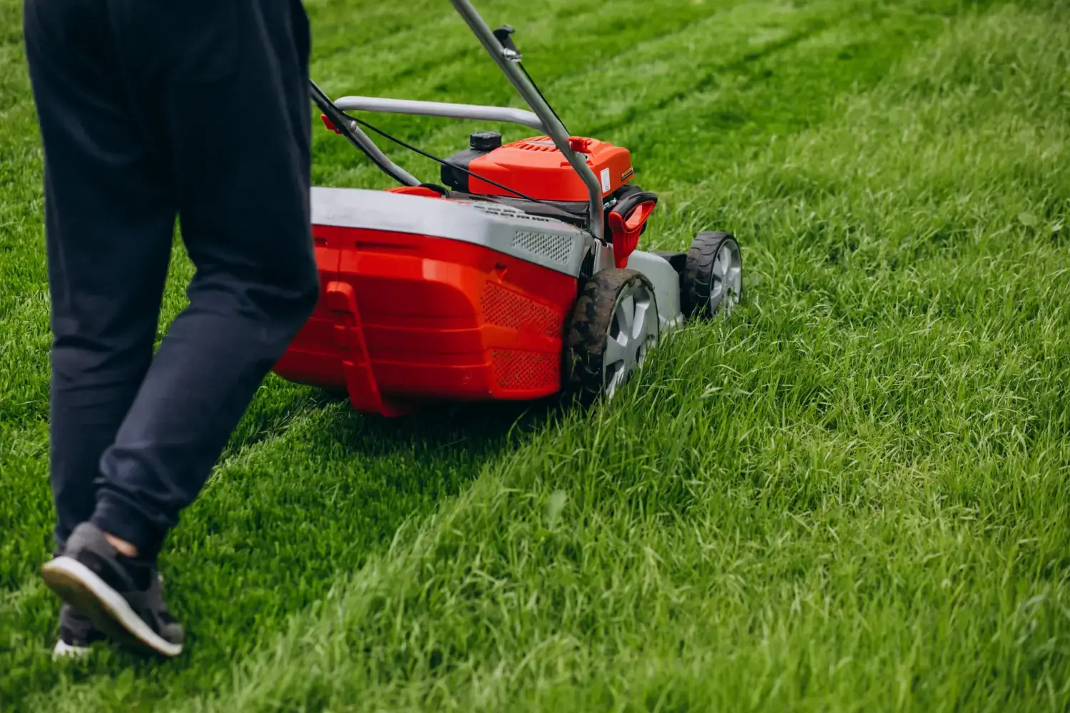 Lawn Care & Mowing