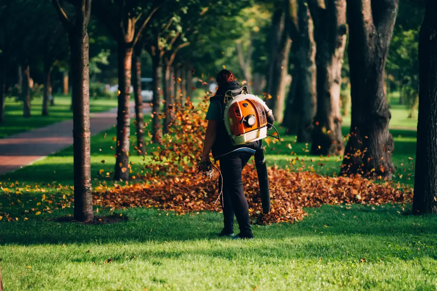 Leaf Removal & Cleanup