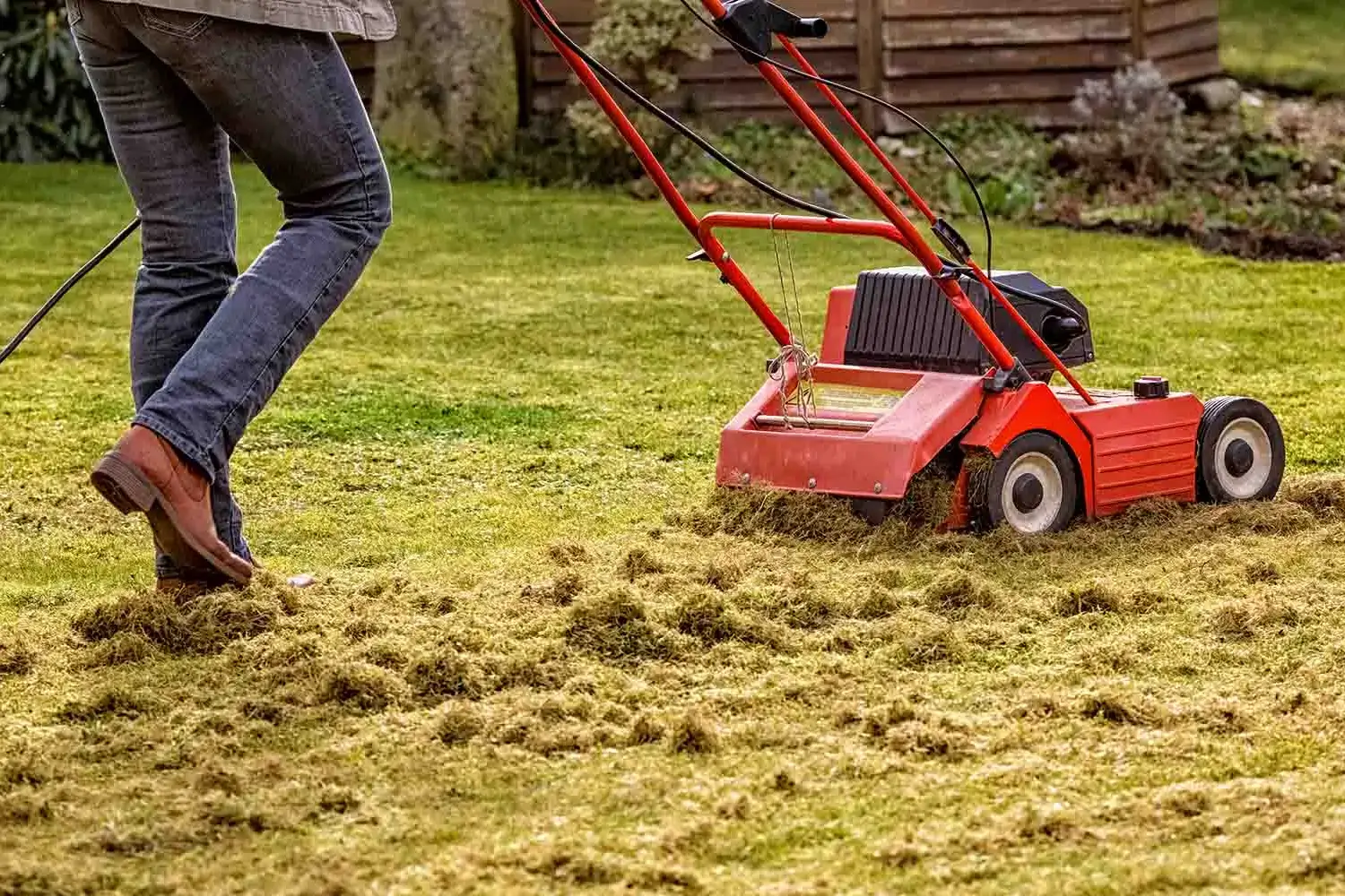 Lawn Dethatching