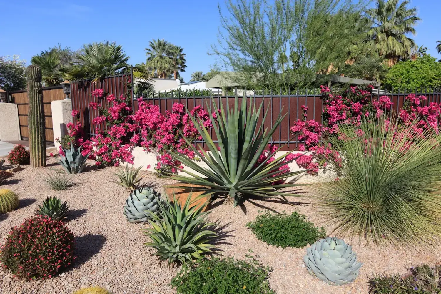 Drought-Resistant Lawn Installation