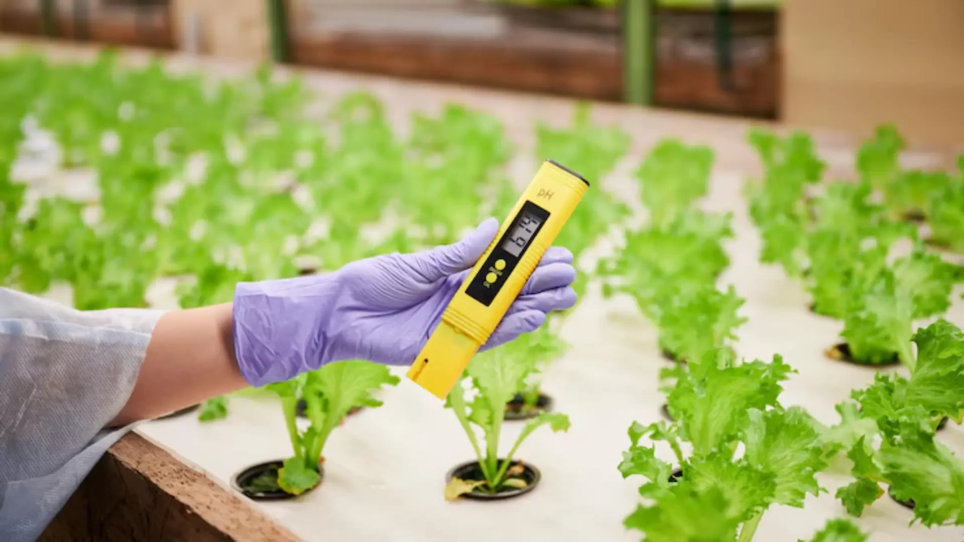 Precision Farming Tools for Safety, Storage, and Root Development