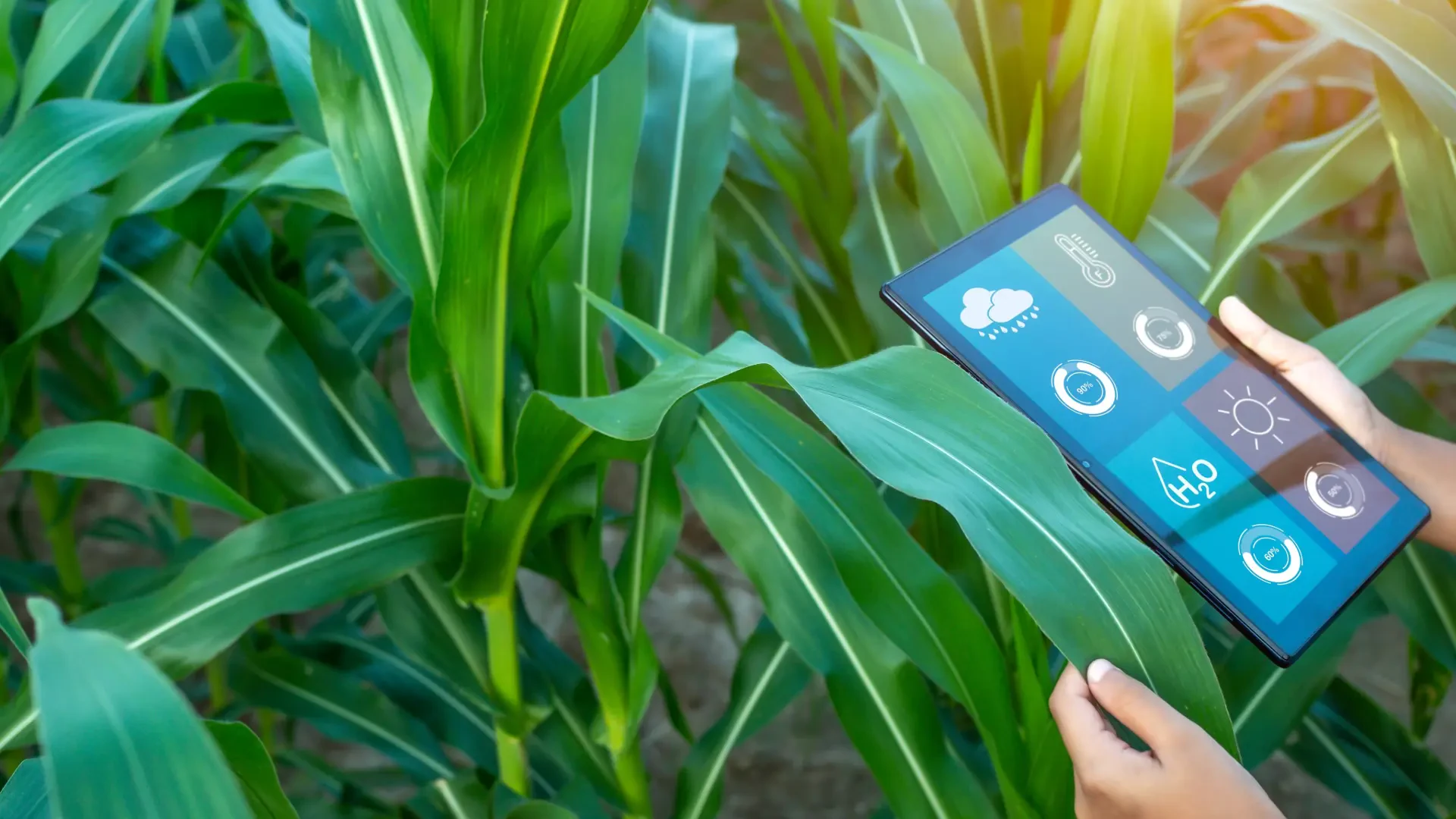 Smarter CO₂ and Light Integration for High-Yield Farming