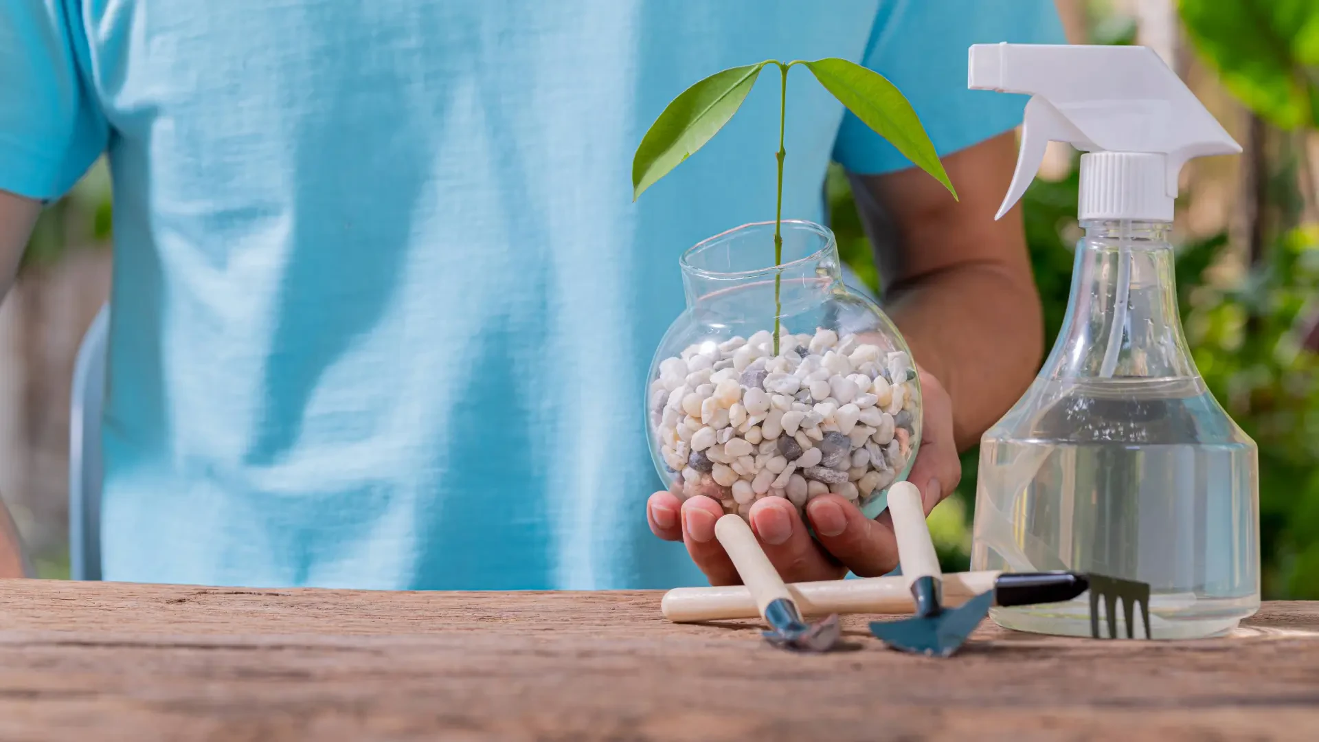 Sustainable Gardening Made Easy: Natural Solutions for Healthier Plants