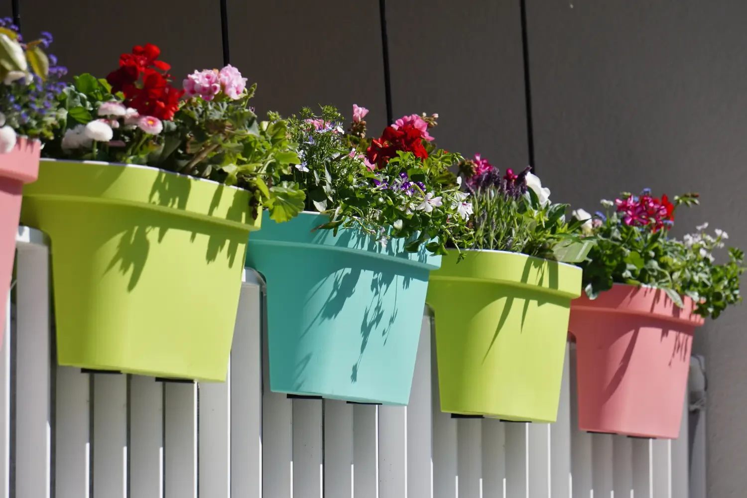 Beautiful flower box ideas create a colorful display in the windows, patios, or small spaces