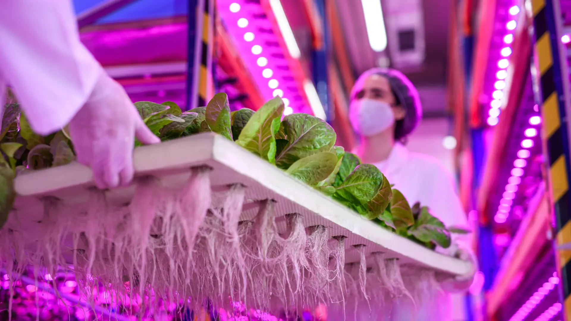 Vertical Farming and Controlled Environment Agriculture for the Future