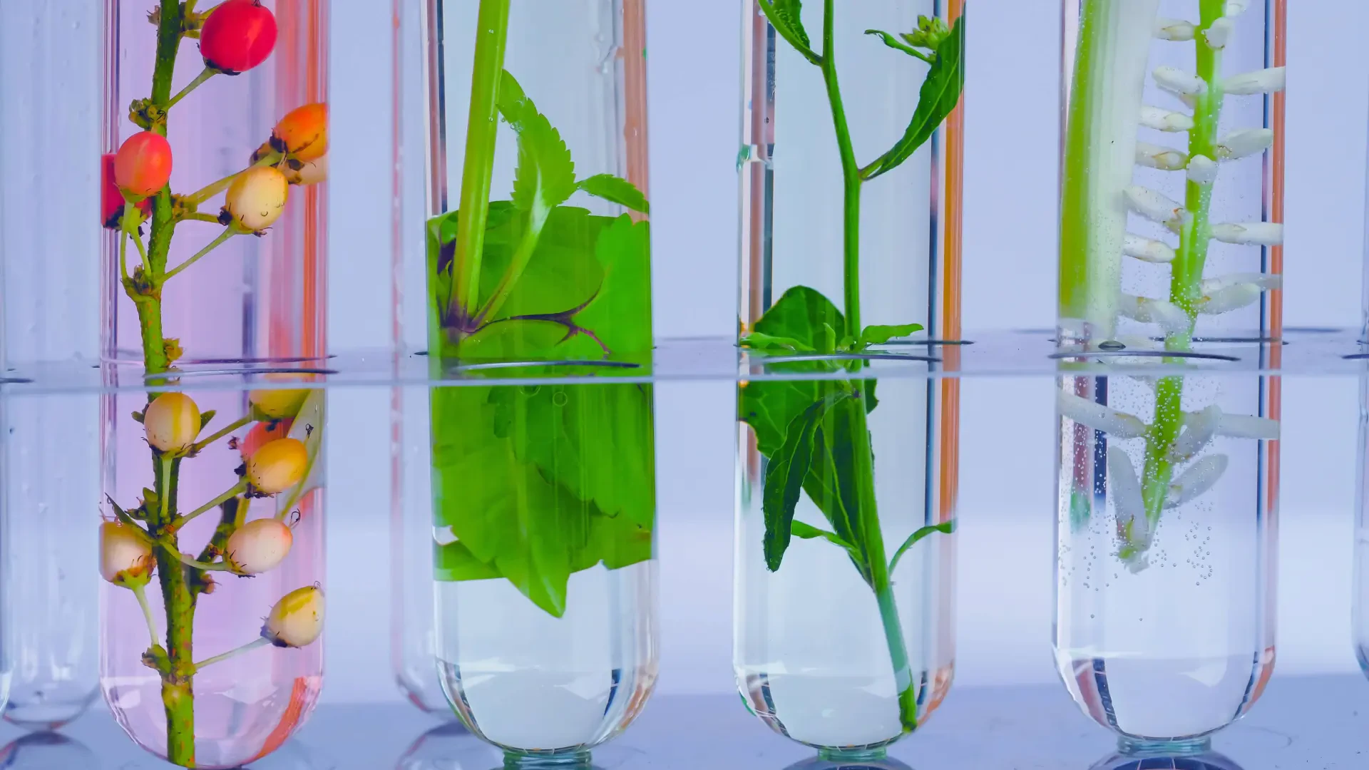 Boosting Crop Yield with Precision Biological and Nutrient Technologies