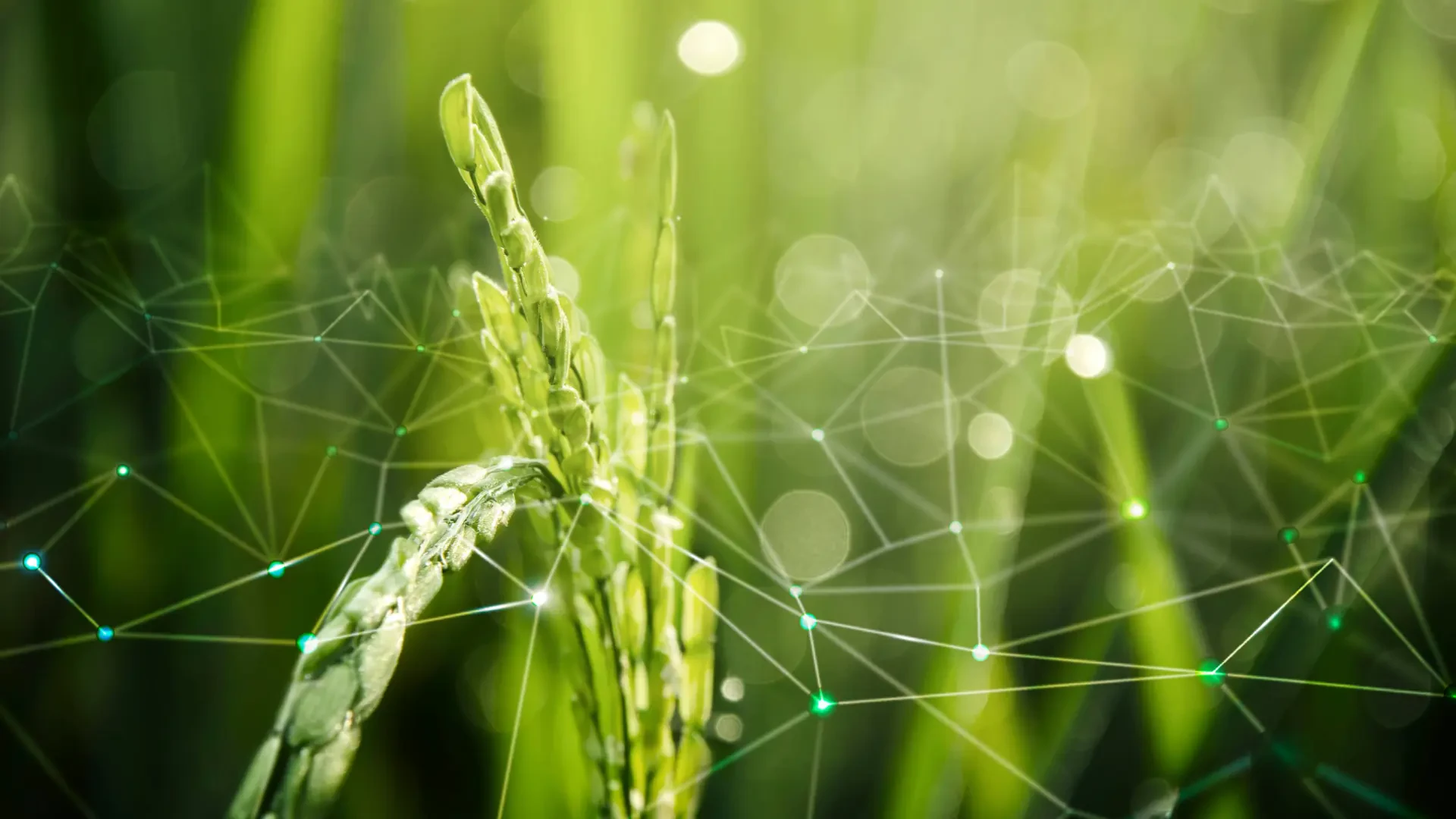 Clean Water and Efficient Tools: Advancing Controlled Environment Agriculture