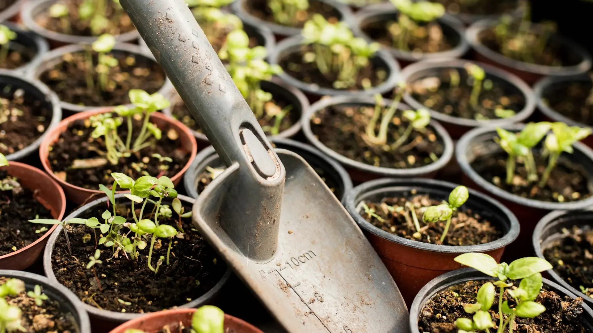 Next-Level Growing Media and Cultivation Tools for Modern Growers