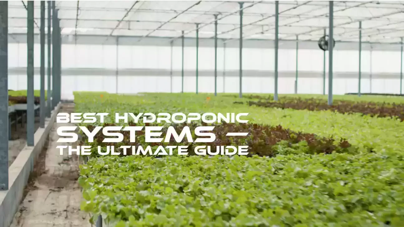 Best hydroponic systems - The ultimate guide